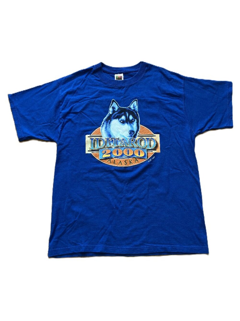 Alaska Iditarod T-shirt Royal Blue 2000 Sled Dog Race Vintage Y2K Lg